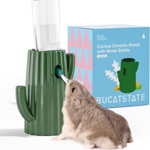 Beverino con Supporto Cactus