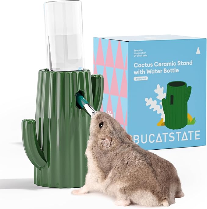 Beverino con Supporto Cactus