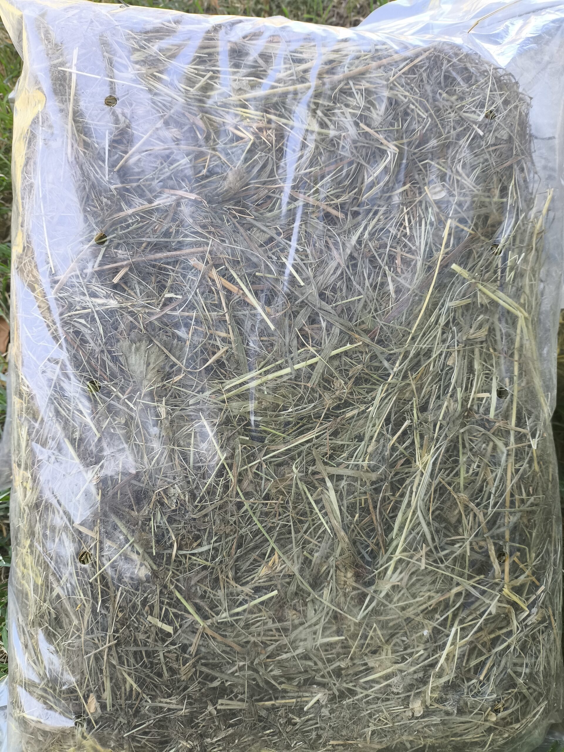 Fieno biologico del Trentino - immagine 2